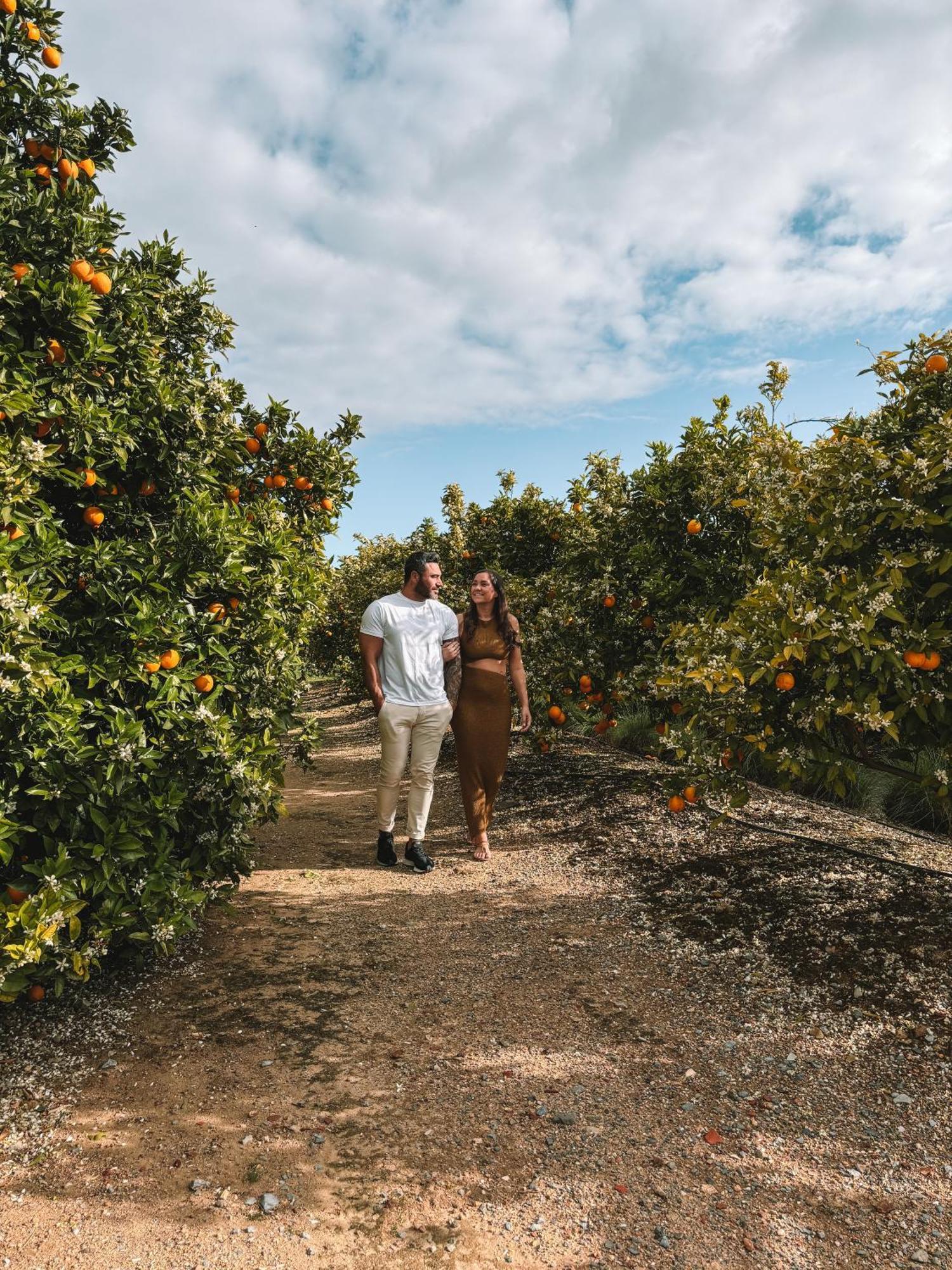 Quinta Dos Perfumes Villa Tavira Eksteriør billede