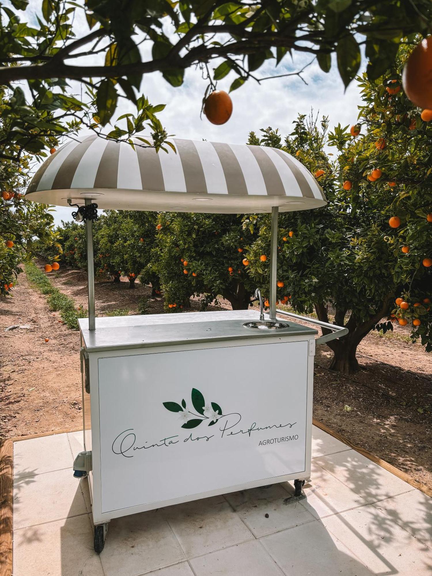 Quinta Dos Perfumes Villa Tavira Eksteriør billede