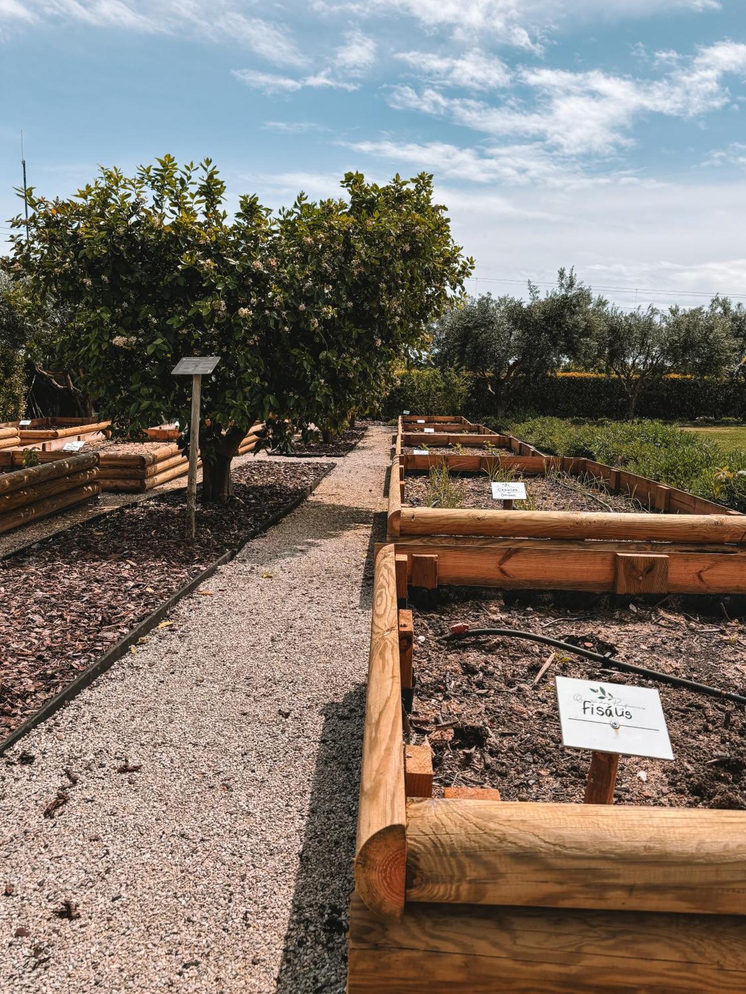 Quinta Dos Perfumes Villa Tavira Eksteriør billede