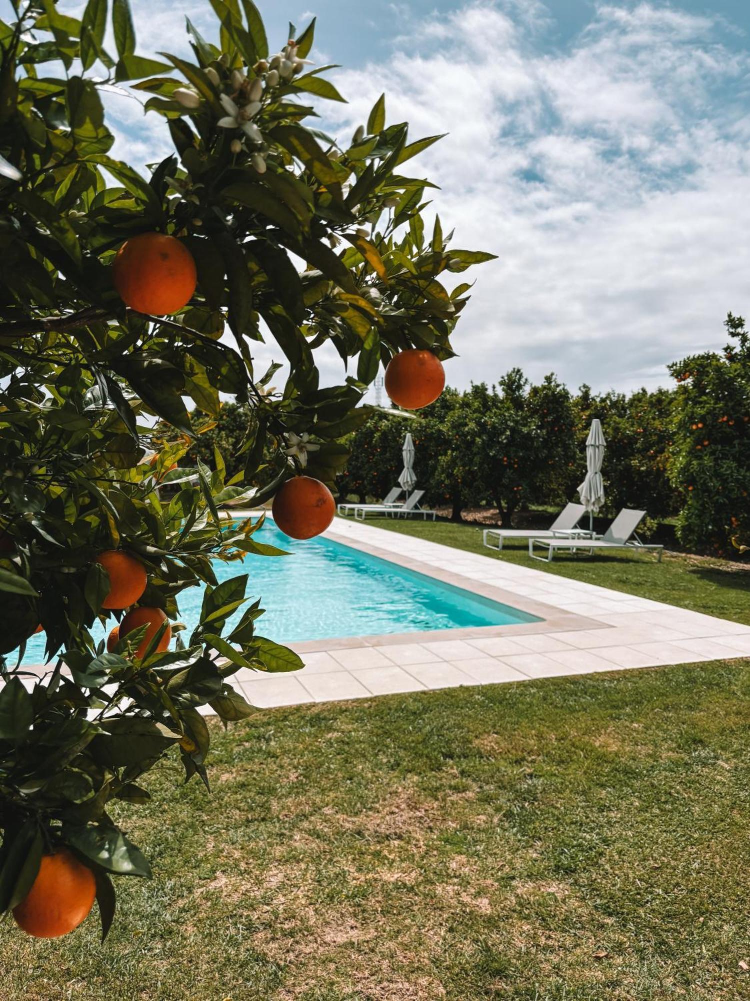 Quinta Dos Perfumes Villa Tavira Eksteriør billede